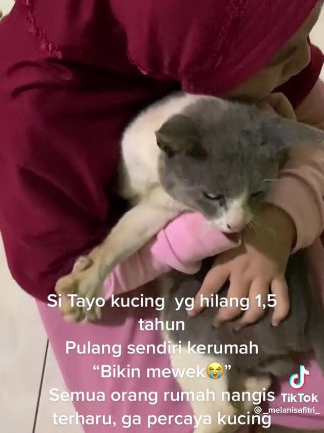Pertemuan kucing dengan pemiliknya