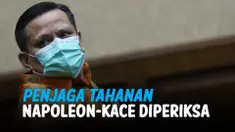 THUMBNAIL NAPOLEON