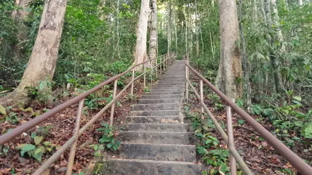 Pendakian ke Bukit Unyang di Malaysia. (Dok: Gunung Bagging https://www.gunungbagging.com/bukit-unyang/nggallery/page/2)