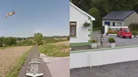 Pose hewan saat tertangkap Google Street View (Sumber: Boredpanda)