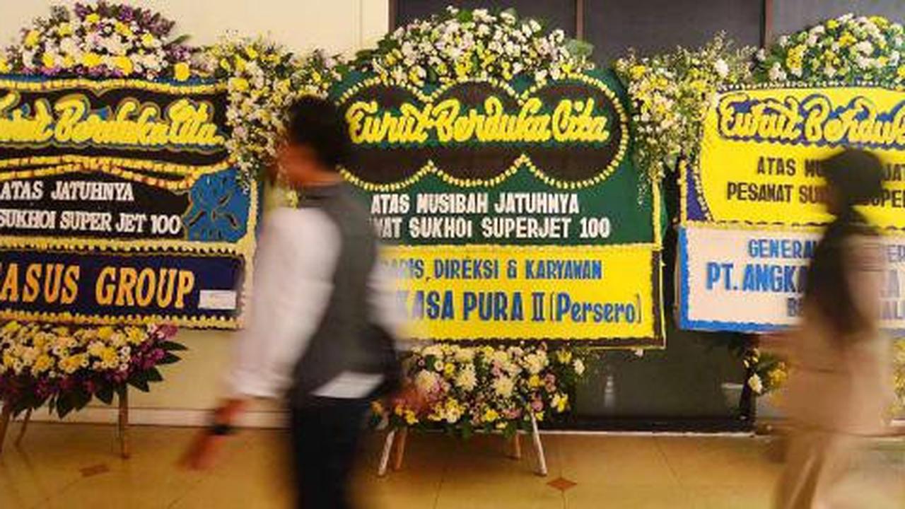 Menteri Perhubungan EE Mangindaan bersama Dubes Rusia Untuk Indonesia  