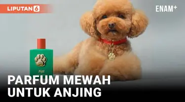 Bukan hoax tapi fakta, parfum terbaru rilisan Dolce & Gabbana didedikasikan khusus untuk anjing. Ide wewangian untuk anak bulu itu datang dari Domenico Dolce, salah satu desainer dari duo pendiri label asal Italia tersebut.