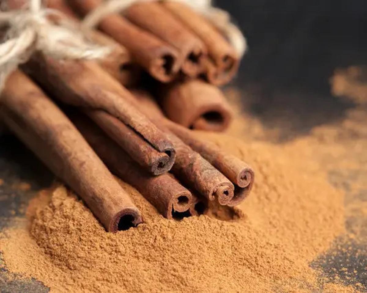 10 Cara Alami Usir Semut Tanpa Bahan Kimia, Langkah Mudah yang Bisa Dilakukan Sendiri
