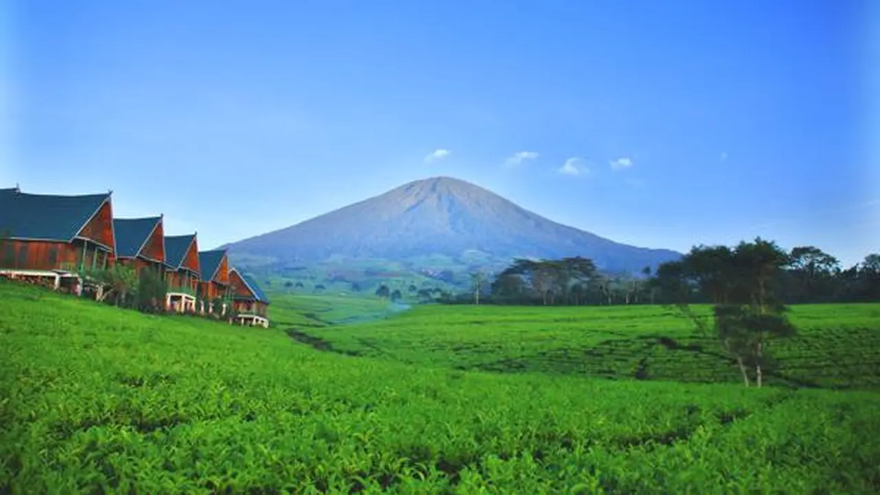 6 Fakta Menarik Pagar Alam yang Punya Tarian Kebagh nan Sakral