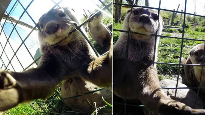 Foto: copyright dailymail.co.uk