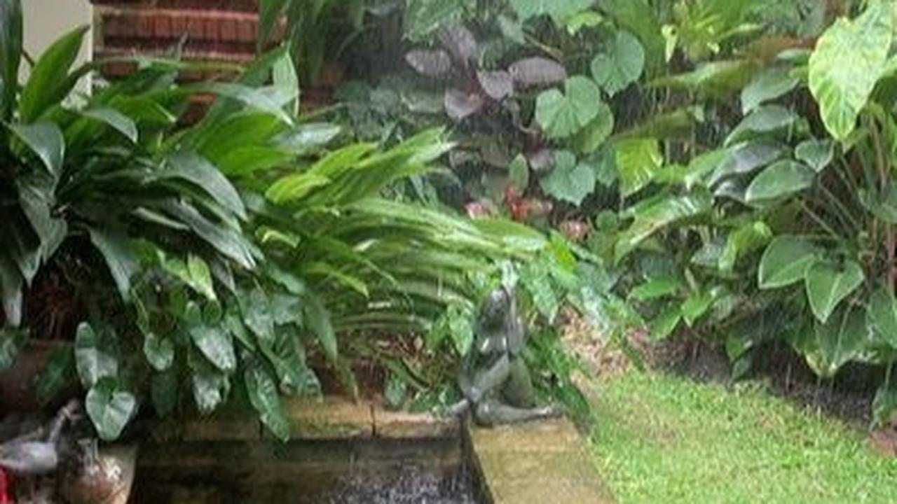 Taman Rindang dengan Kolam Ikan