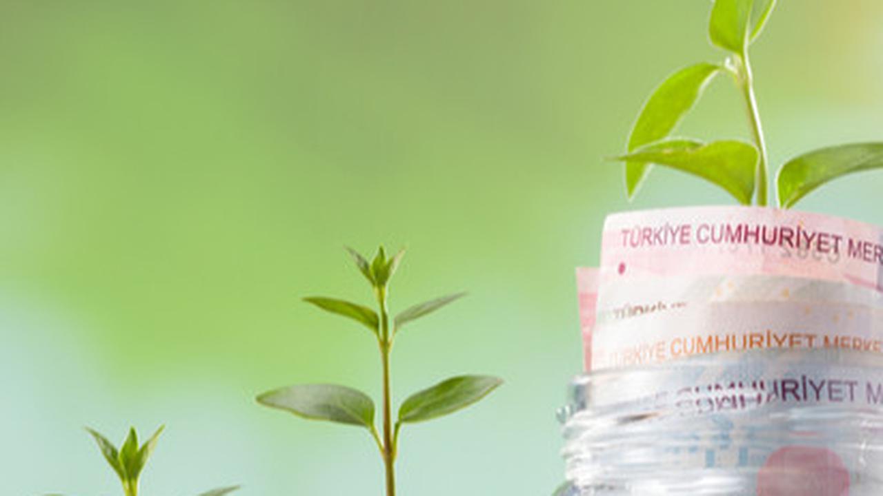 Ingin Cepat Kaya? Ini Pilihan Investasi Jangka Pendek Potensi Banyak Cuan