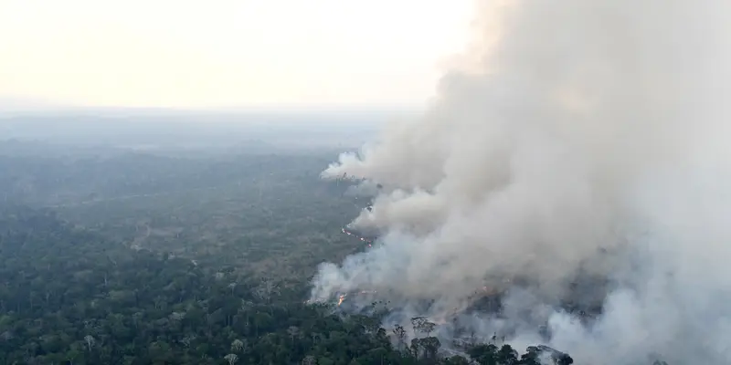 Warga Brasil kesulitan bernapas saat Amazon terbakar