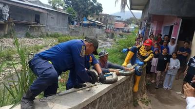 Sanca Jumbo 4 Meter Teror Warga Pasar Palabuhanratu Sukabumi