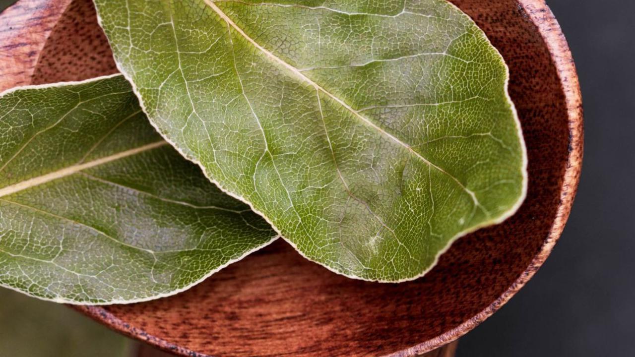 Manfaat Teh Daun Salam untuk Kesehatan, Bantu Kontrol Gula Darah