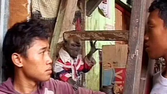 Kampung Monyet Dirazia, 29 Monyet dan Pawangnya Diamankan