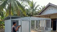 11 Tips Mencegah Predator Masuk Kandang Ayam Rumahan, Cara Mudah dan Aman