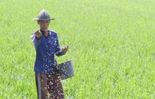 Petani Indonesia Tetap Miskin Meski Harga Pangan di Pasar Terus Naik, Pendapatan Setahun Cuma Rp5,4 Juta