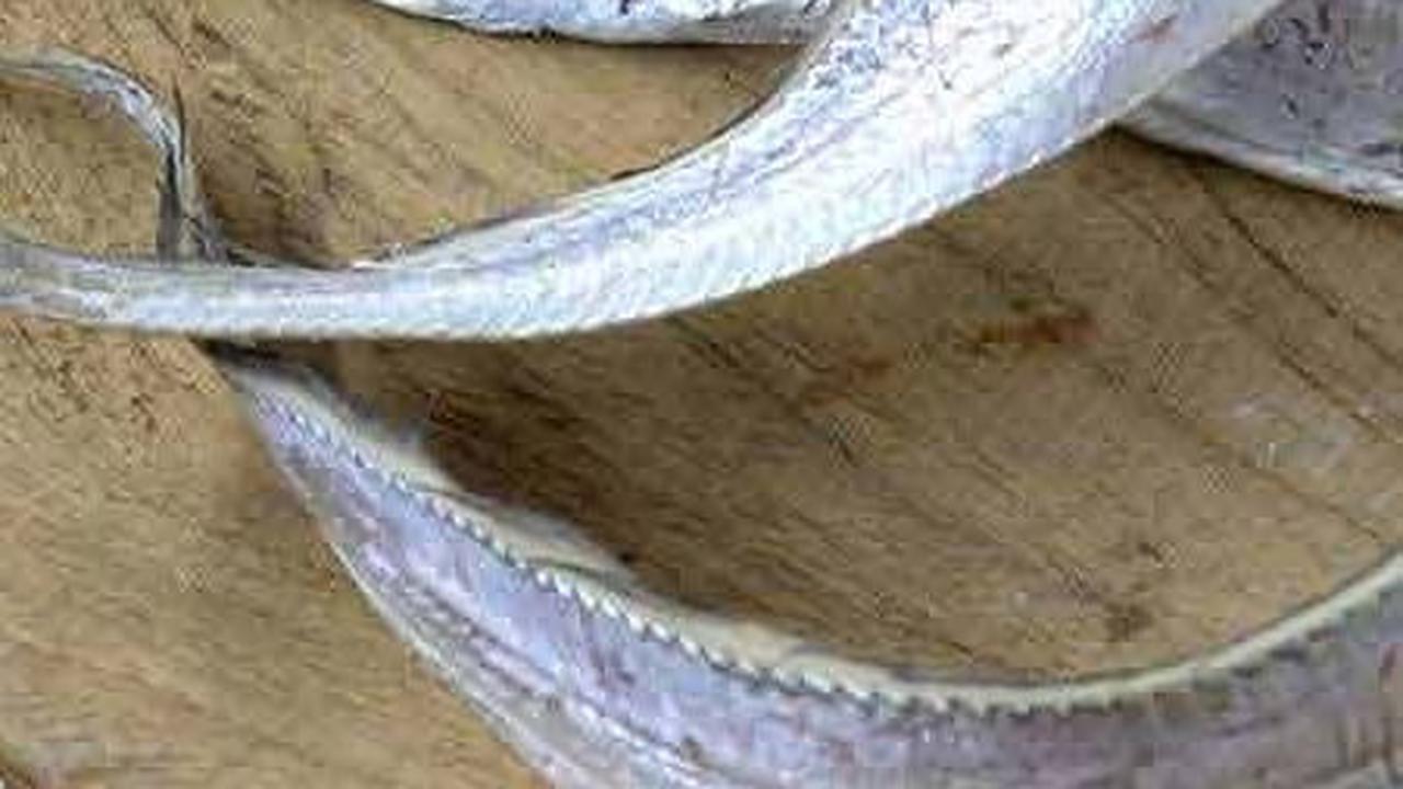 Ikan layur adalah salah satu jenis ikan laut yang sering dikonsumsi oleh masyarakat Indonesia karena mudah ditemukan di pasar dan harganya terjangkau. Ikan ini dapat ditemui di perairan tropis, terutama di wilayah Indo-Pasifik, mulai dari pesisir pantai