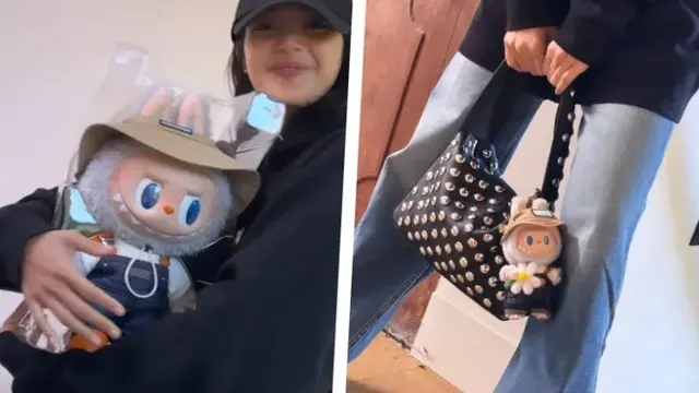 6 Seri Boneka Labubu Paling Populer, Ada yang Dimiliki Lisa Blackpink
