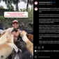 Tangkapan layar yang menampilkan David Ozora dikerumuni oleh anjing-anjing dari shelter Natha Satwa Nusantara pada 8 April 2024. (dok. Instagram @nathasatwanusantara/https://www.instagram.com/reel/C5fGOUOPu80/?utm_source=ig_web_copy_link&igsh=MzRlODBiNWFlZA==/Rusmia Nely)