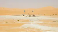Dirut Pertamina Menembus Gurun Sahara, Sapa Langsung Pekerja MLN Algeria