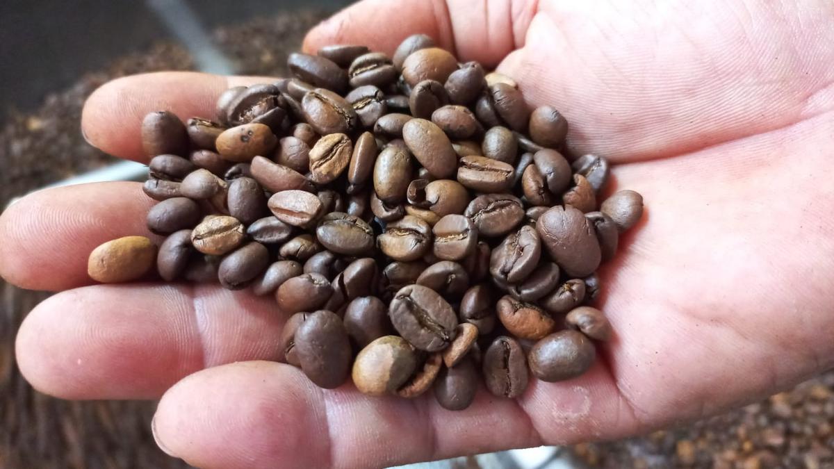 Cara Industri Kenalkan Kekayaan Cita Rasa Kopi Indonesia ke Dunia