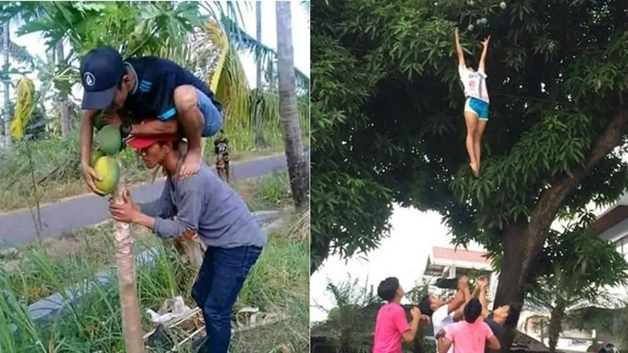 6 Kelakuan Kocak Orang saat Petik Buah Ini Bikin Ketawa
