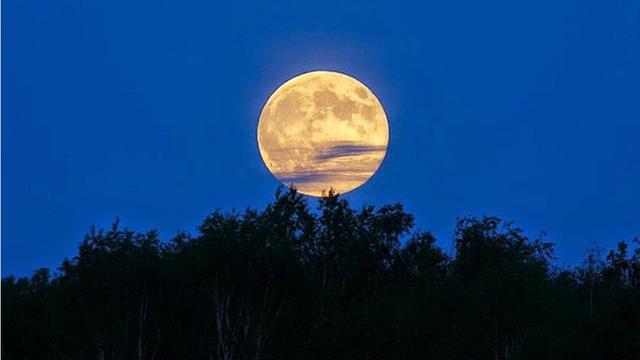 Hal yang Bisa Kamu Lakukan Sebelum Nisfu Sya'ban