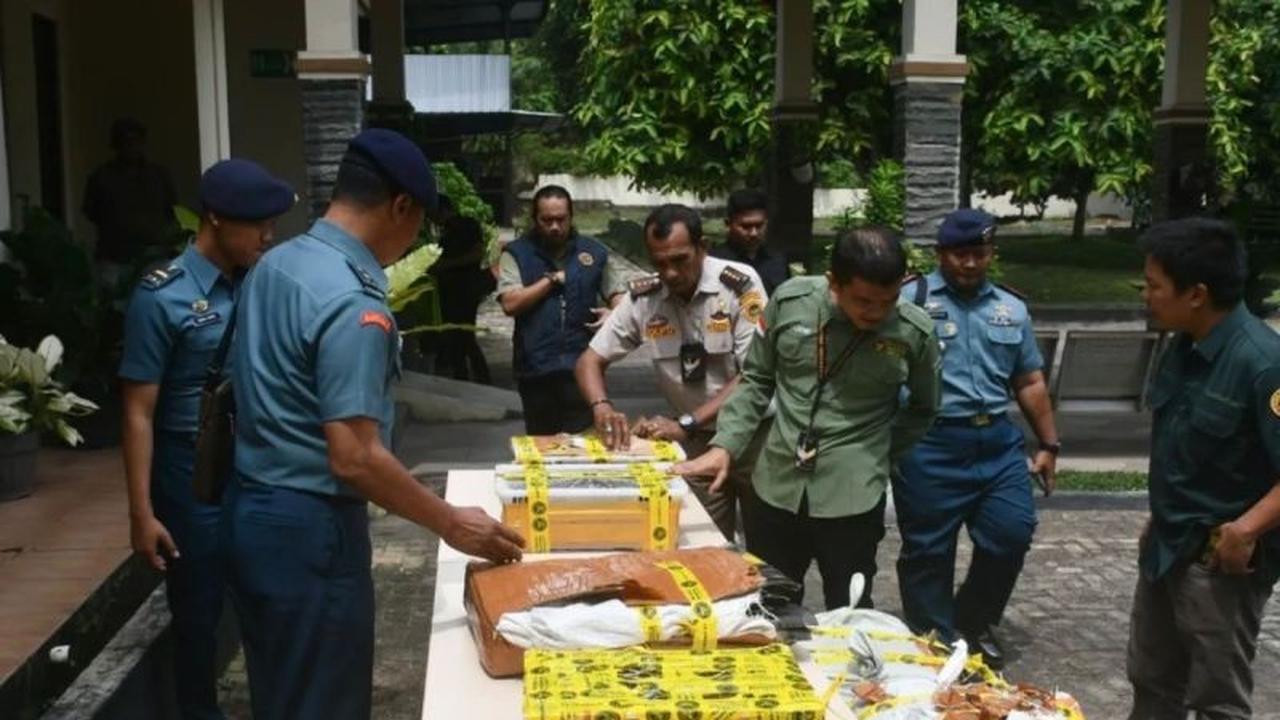 Petugas Gagalkan Penyelundupan Kulit Ular Piton dan Kura-kura di Bakauheni