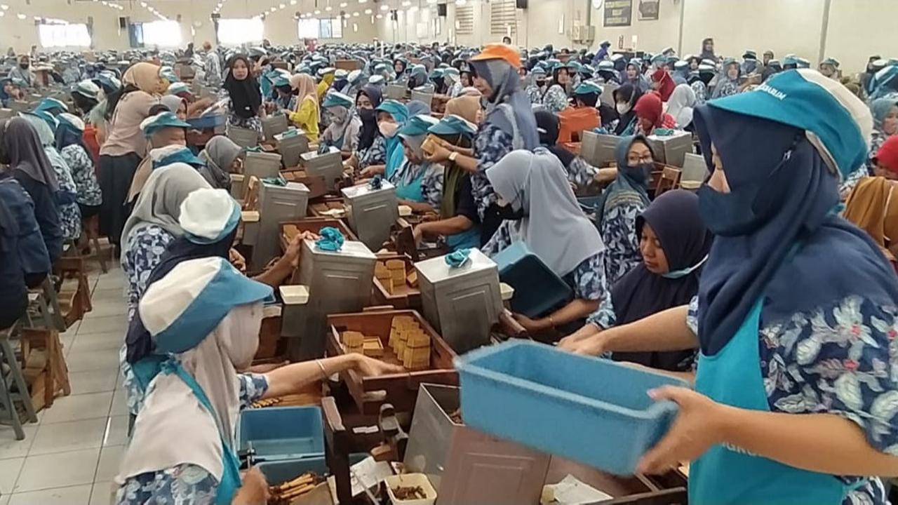 Pemerintah Klaim 198 Perusahaan Proses Bangun Pabrik, Bakal Buka 24.568 Lowongan Kerja