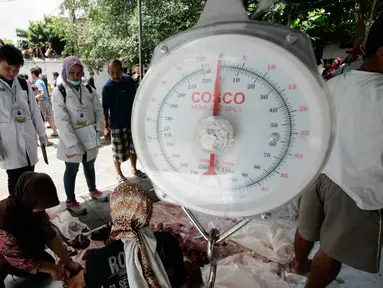 Mahasiswa dari Fakultas Kedokteran Hewan UGM mendatangi proses pemotongan hewan kurban di Masjid Kauman, Yogyakarta, Senin (12/9). Pemeriksaan dilakukan untuk memastikan tidak ada cacing hati atau penyakit antrax. (Liputan6.com/Boy Harjanto)