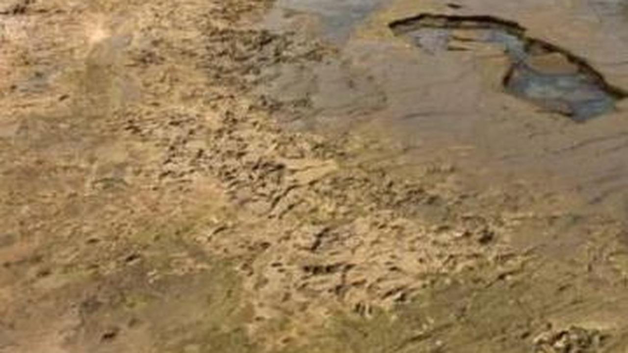 85 Jejak Kaki Makhluk Berusia 90.000 Tahun Ditemukan di Pantai, Ternyata Milik Spesies Manusia Ini