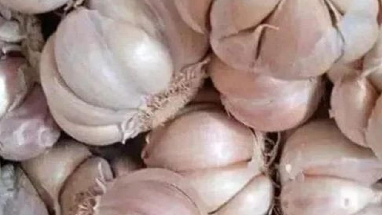 Siapkan 3 Siung Bawang Putih