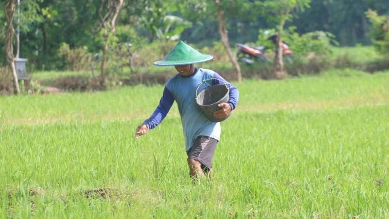 Fakta Menarik Stok Pupuk Bersubsidi Ponorogo: Aman Hingga 2025, Kuota Tersedia 40 Persen!