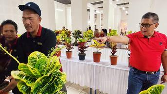 Kunjungi Agrofest di Kediri, Hasto Bawa Oleh-oleh Tanaman untuk Megawati