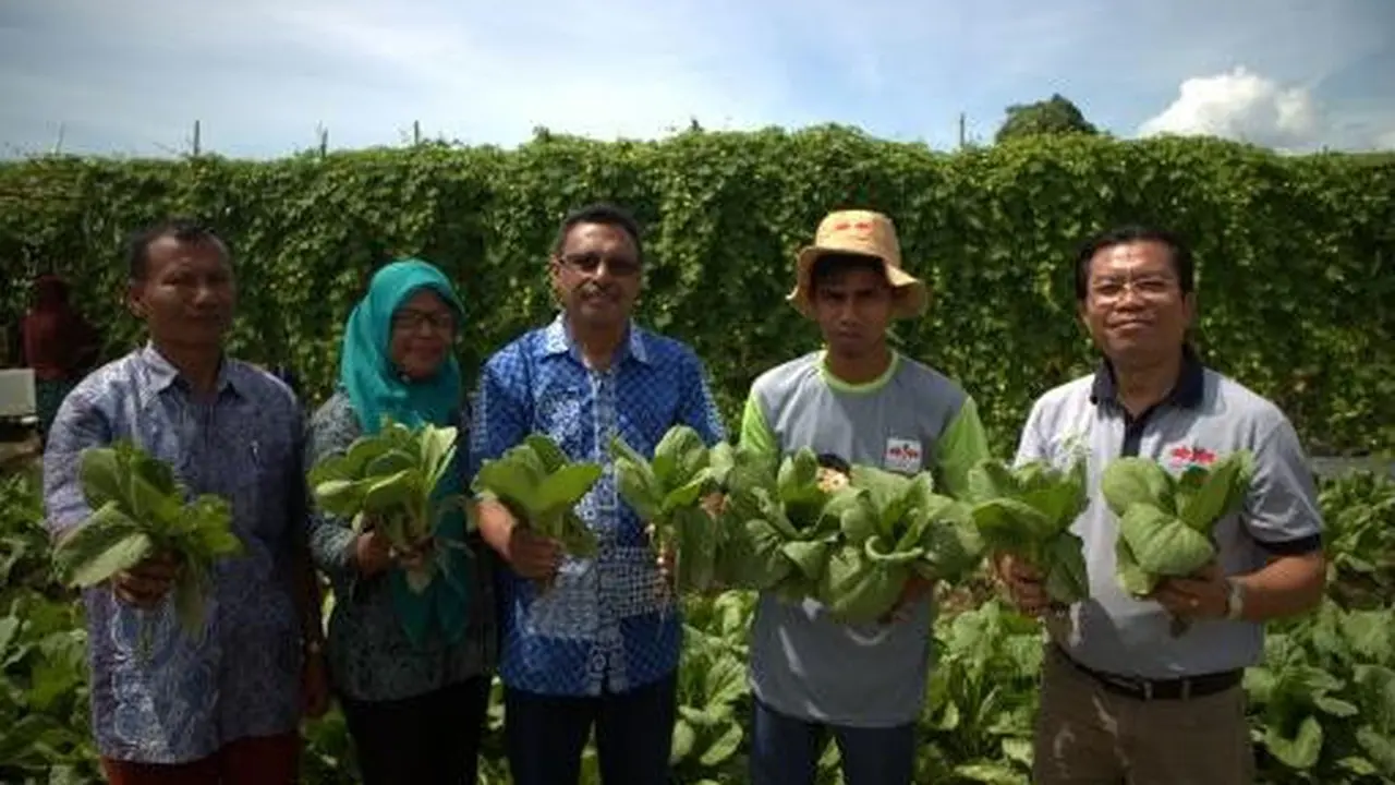 Mama Berkebun