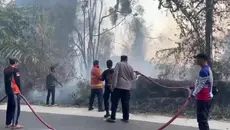 Kebakaran Taman Nasional Bukit Barisan Selatan, 3 Hektare Hutan Hangus