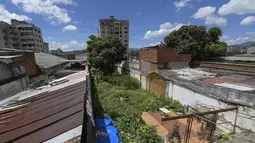 Buah-buahan dan sayuran tumbuh di sebidang tanah yang dipulihkan oleh tetangga dari properti terbengkalai di lingkungan La Pastora di Caracas, Venezuela (13/9/2020). Hasil panen juga dibagikan untuk tetangga atau dijual sebagian. (AP Photo/Matias Delacroix)