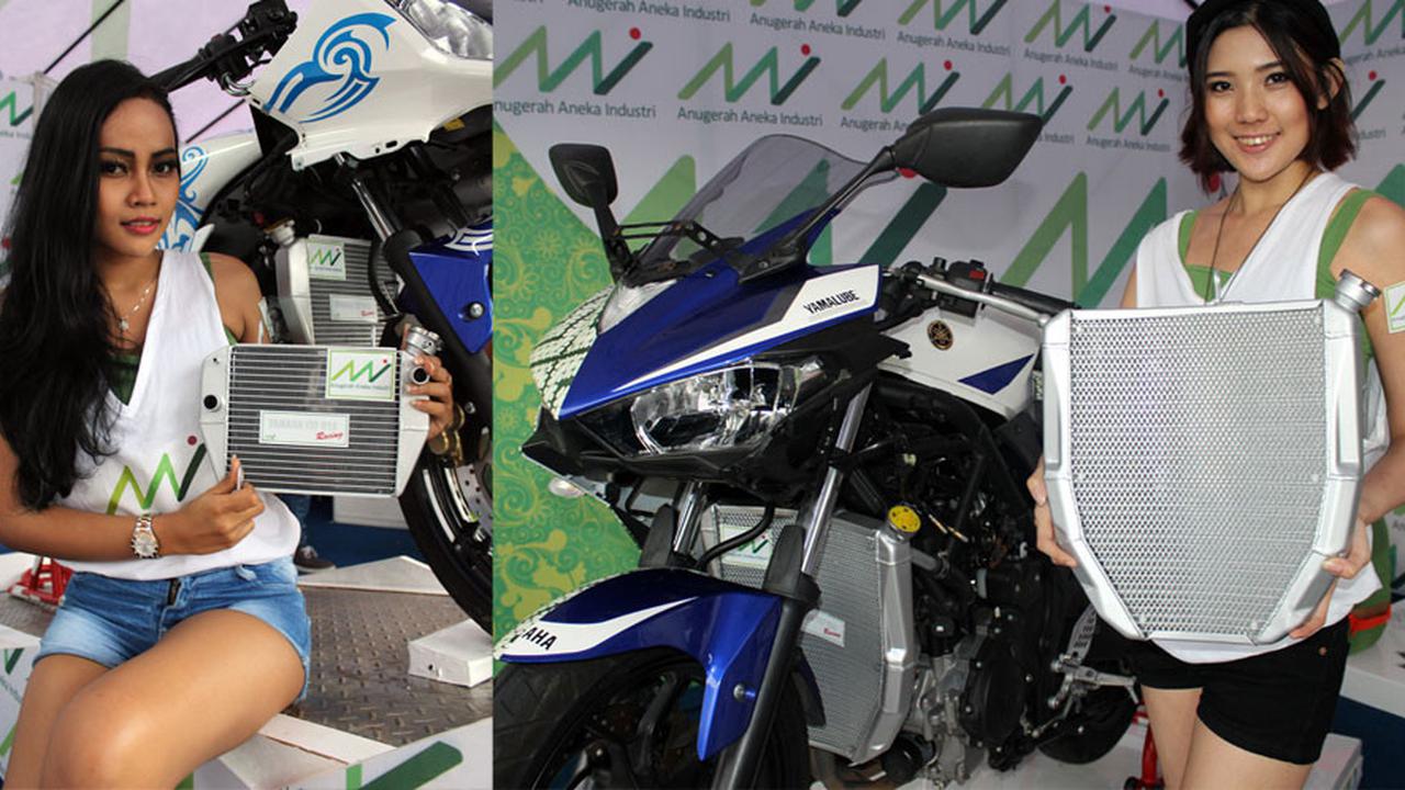 Radiator Racing Yamaha (foto: Nazar Ray)