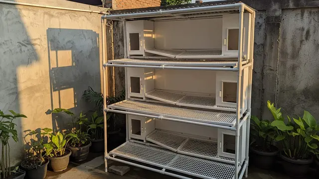 Ide Kandang Ayam dari Pipa PVC Anti Karat dan Mudah Dirakit