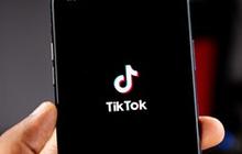 TikTok Matikan Sementara Fitur Live di Indonesia Imbas Aksi Demo