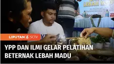 Yayasan Pundi Amal Peduli Kasih SCTV-Indosiar bersama Inspirator Lebah Madu Indonesia (ILMI) menggelar pelatihan dan edukasi beternak lebah madu di Kabupaten Timor Tengah Utara. Kegiatan ini dilakukan guna memberdayakan masyarakat guna meningkatkan p...