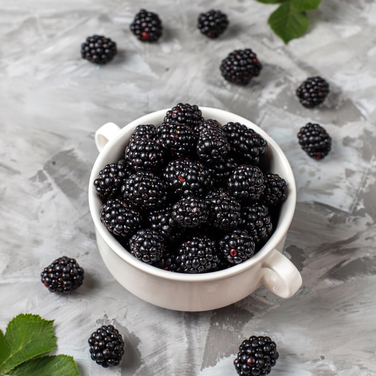 Ilustrasi Buah Blackberry (©Freepik)