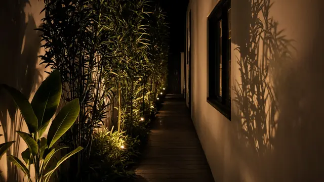 Taman Malam dengan Lampu Tersembunyi