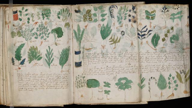 Voynich Manuscript