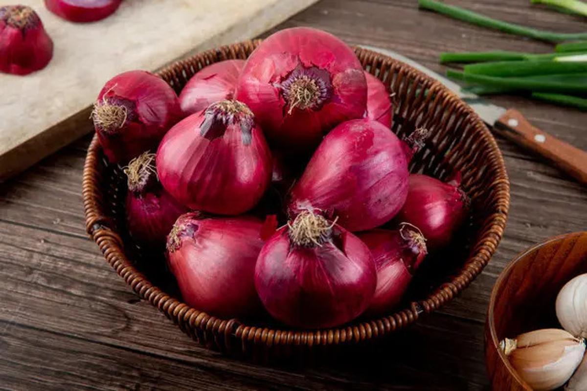 7 Bahan Dapur yang Ampuh untuk Mengusir Ular di Rumah