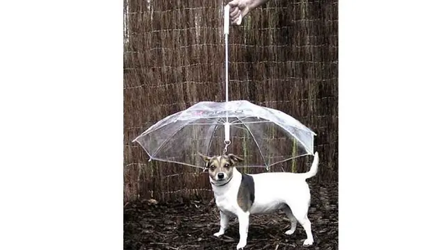 Dogbrella