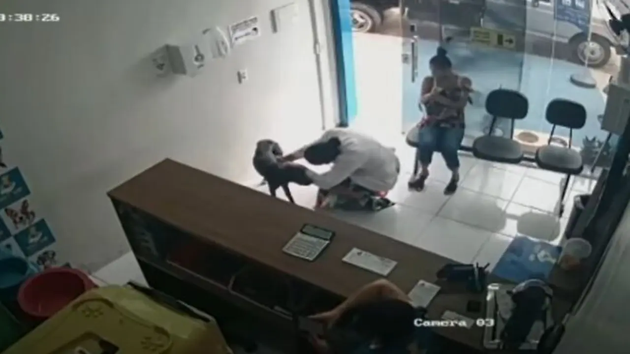 Aksi Anjing Datang ke Klinik Untuk Mendapatkan Pertolongan Ini Bikin Haru