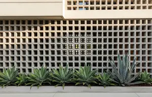 7 Inspirasi Roster Beton dengan Agave yang Minim Perawatan, Fasad Rumah Jadi Lebih Modern