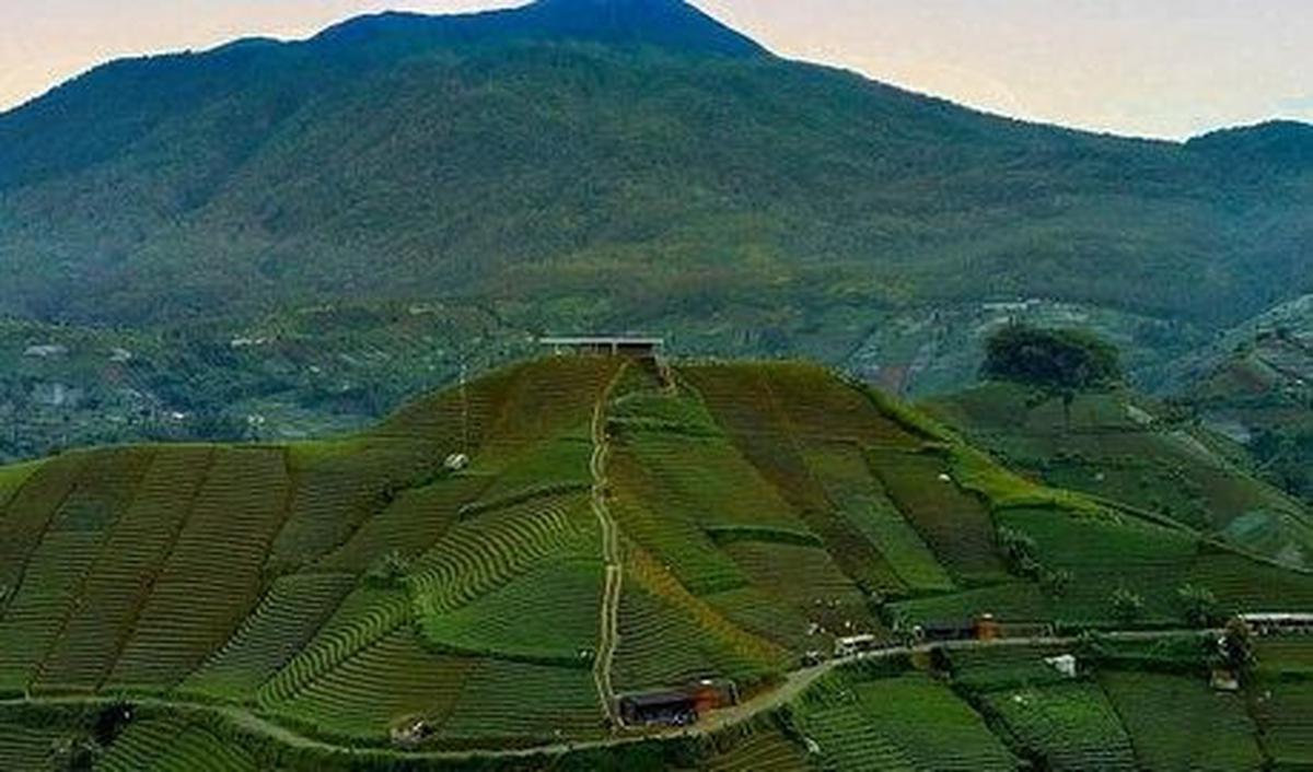 Cantik saat hijau
