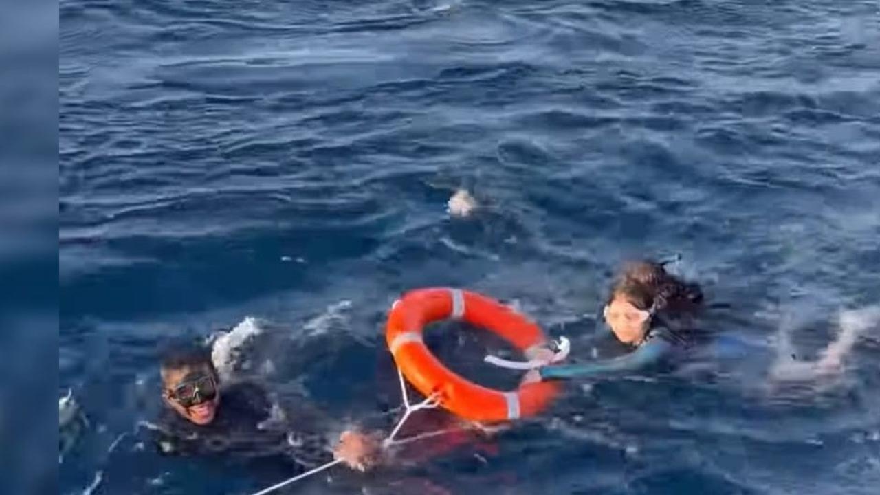 5 Momen Prilly Latuconsina saat Free Diving di Alor, Sempat Kesulitan Naik ke Kapal karena Ada Pusaran Arus Bikin Deg-degan