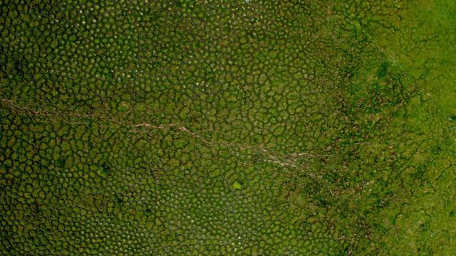 30+ Ide Gambar Sketsa Gundukan Tanah - Tea And Lead