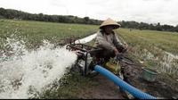 Bantuan irigasi perpompaan untuk  Kelompok Tani Karya Lestari, Desa Karangrejo, Kecamatan Jati Agung, Kabupaten Lampung Selatan diberikan mengairi lahan Sawah seluas 60 Ha (Padi, jagung dan Singkong)/Istimewa.