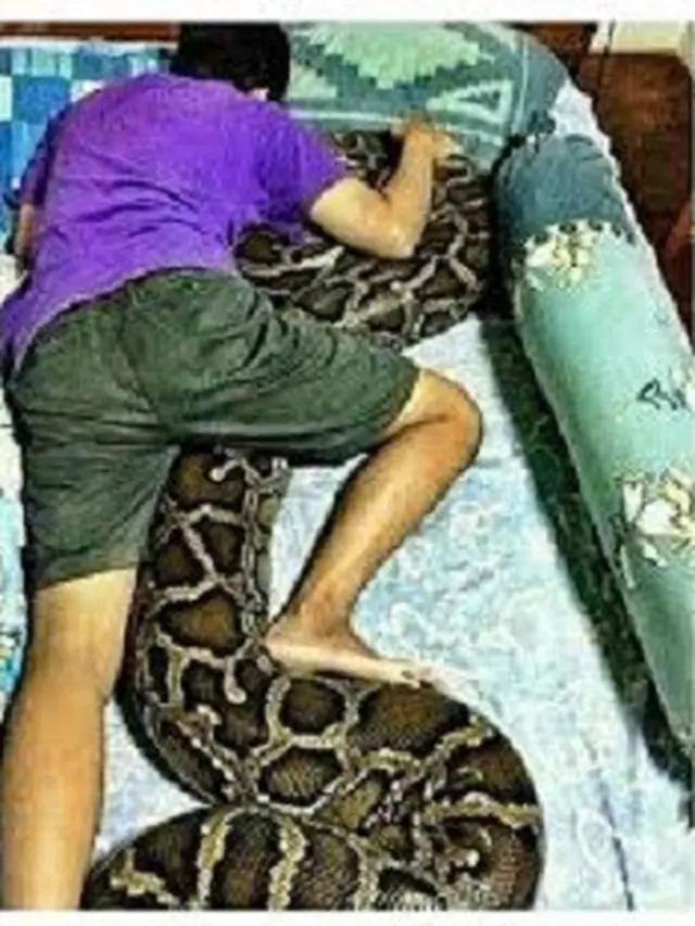 6 Bantal Guling dengan Motif Tidak Biasa Ini Nyeleneh, Bikin Tepuk Jidat